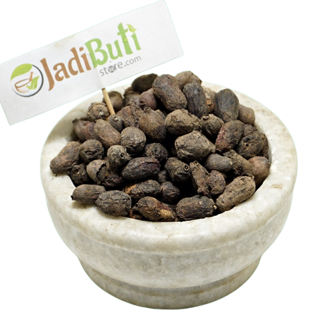 Jamun Guthali / Jamun seeds (Syzygium cumini) - Jadibuti Store