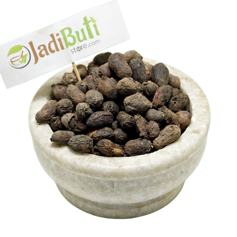 Jamun Guthali / Jamun Seeds | जामुन गुठली | Syzygium cumini