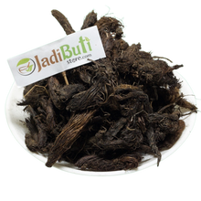 Jatamasi - जटामासी - Musk Root - Nardostachys