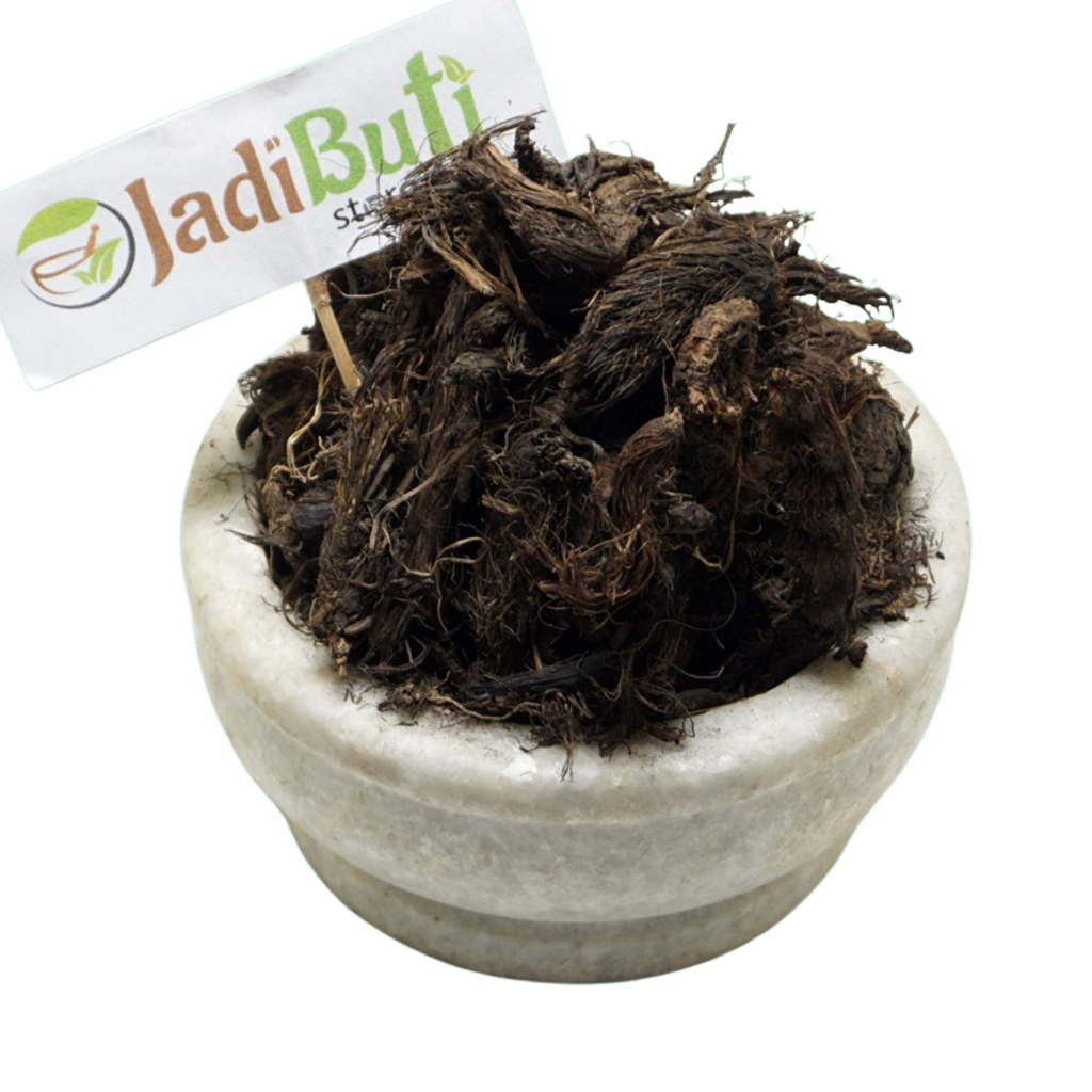 Musk Root / Jatamasi rhizome (Nardostachys jatamansi) - Jadibuti Store