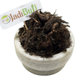 Musk Root / Jatamasi rhizome (Nardostachys jatamansi) - Jadibuti Store