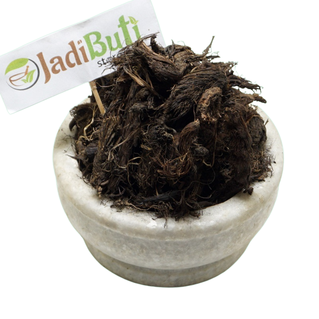 Musk Root / Jatamasi rhizome (Nardostachys jatamansi) - Jadibuti Store