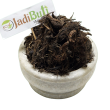 Jatamasi - जटामासी - Musk Root - Nardostachys