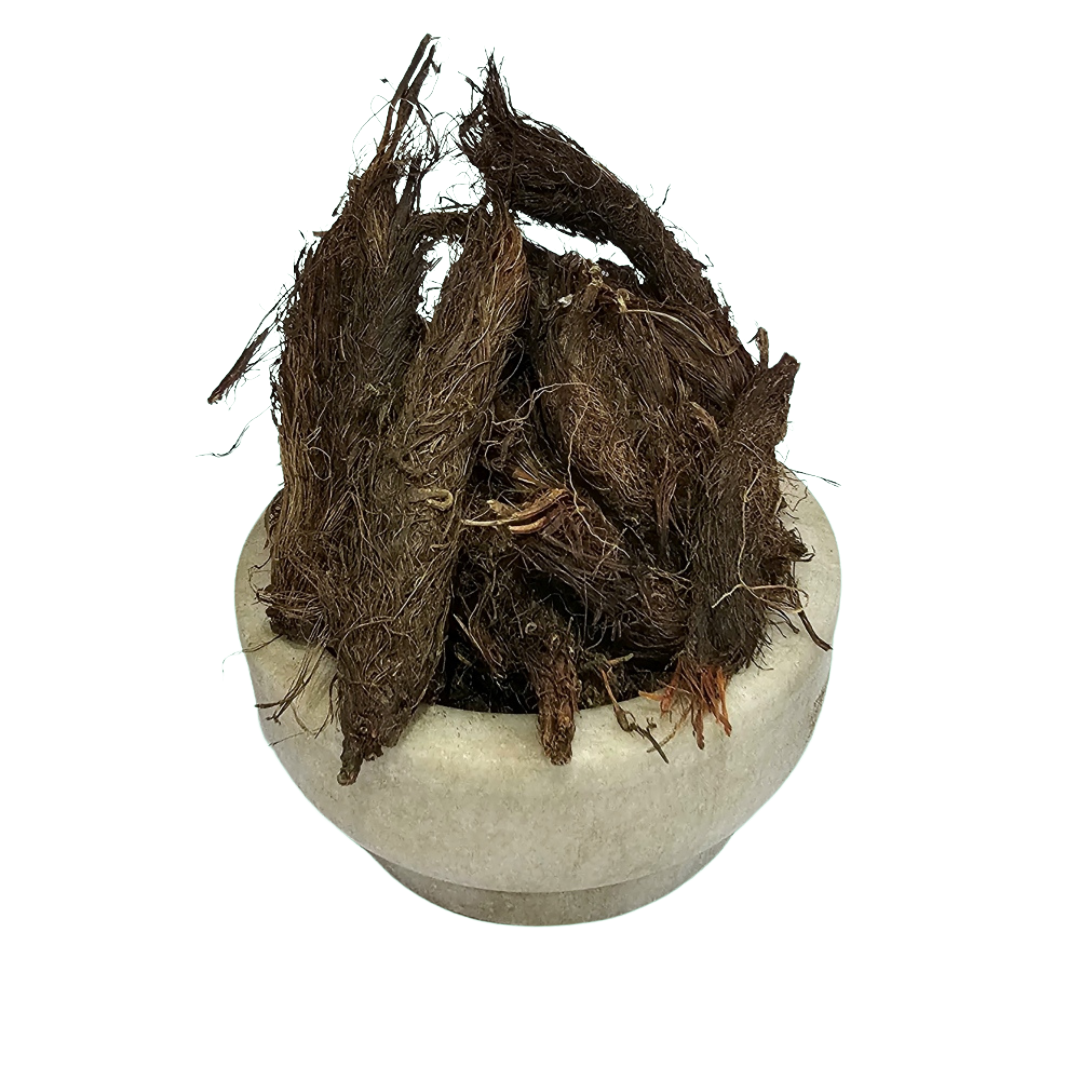 Jatamasi (Medicinal) - जटामासी - Musk Root - Nardostachys