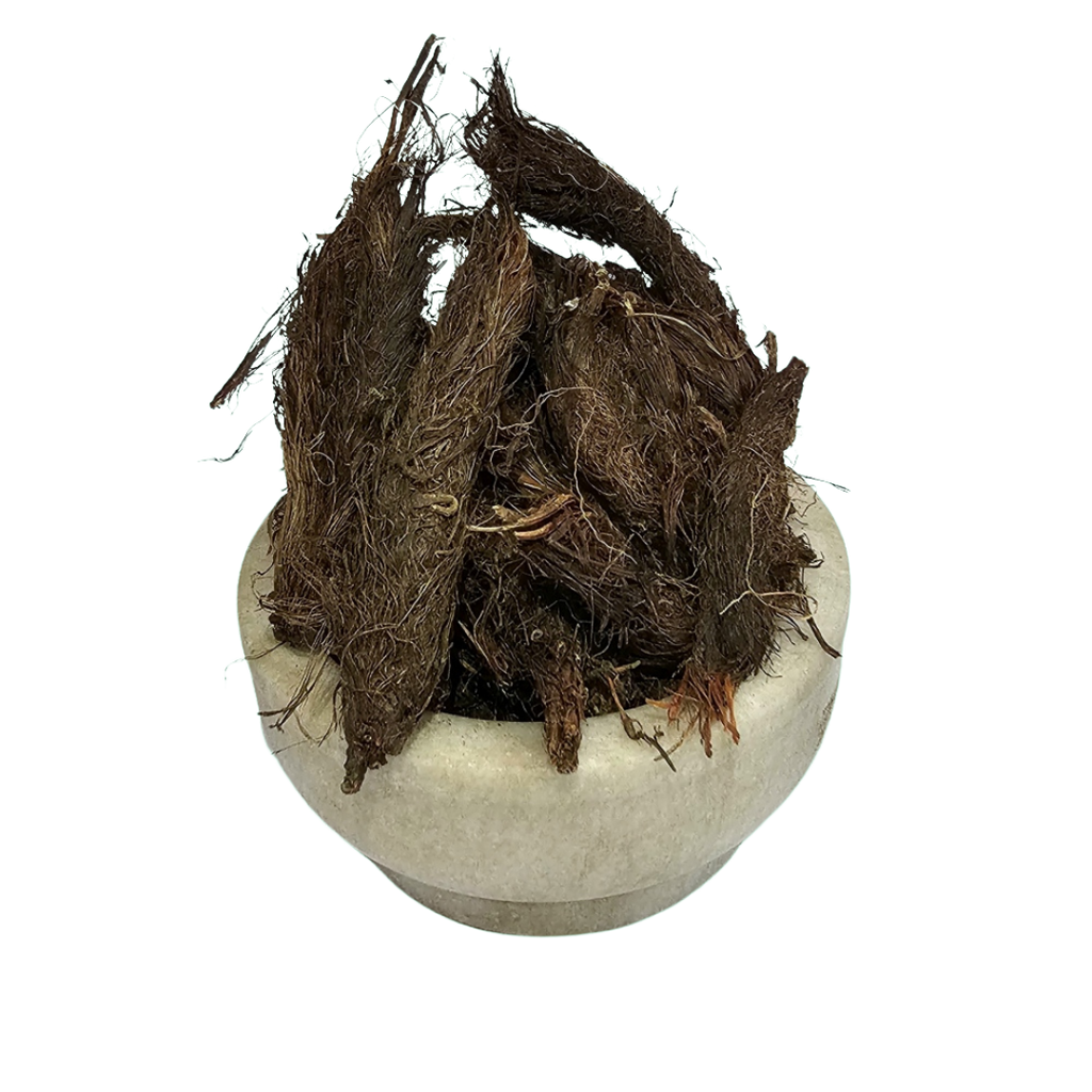 Jatamasi medicinal SKU (Nardostachys jatamansi) - Jadibuti Store