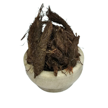 Jatamasi (Medicinal) - जटामासी - Musk Root - Nardostachys