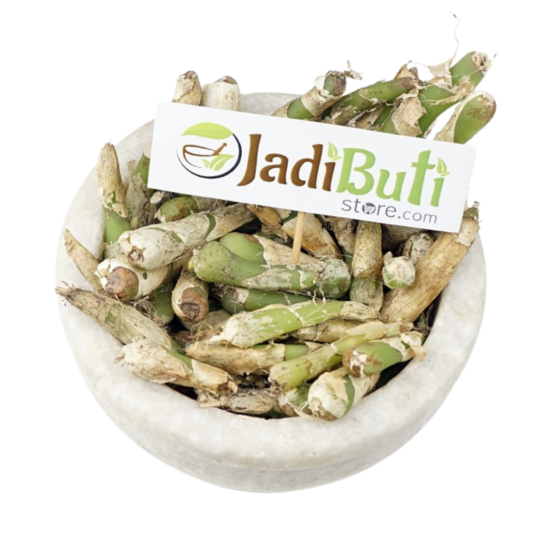Jeevanti (Leptadenia reticulata) raw herb - Jadibuti Store