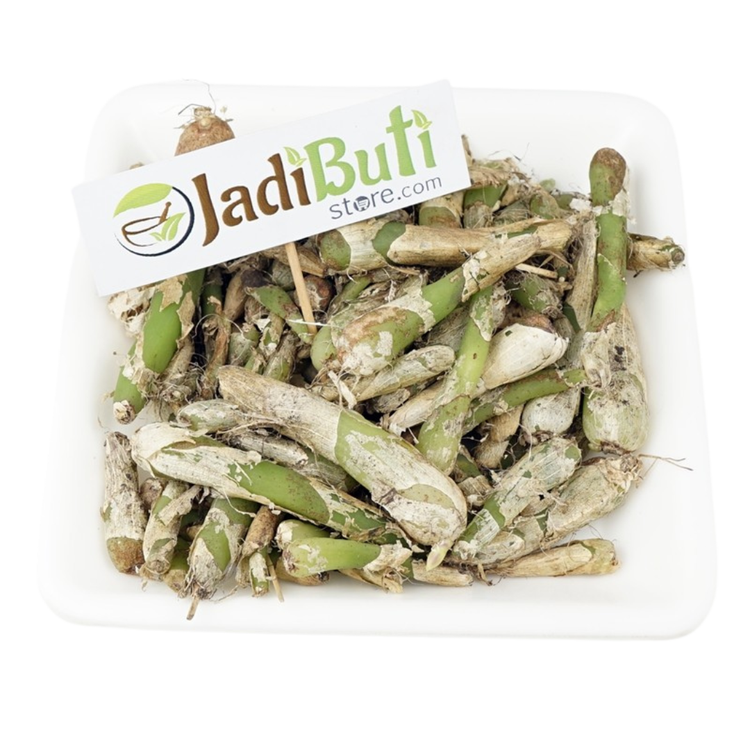 Jeevanti - Leptadenia Reticulata