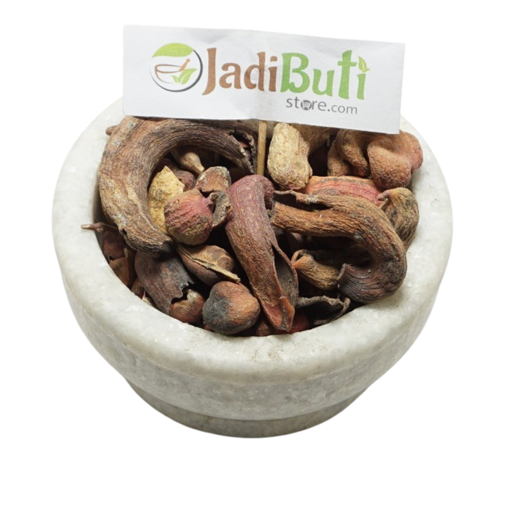 Kakra Singhi galls (Pistacia chinensis subsp. integerrima) - Jadibuti Store