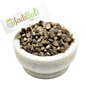 Kali Musli dark-brown cut rhizome pieces with pale cut surfaces in a stone bowl — Jadibuti Store