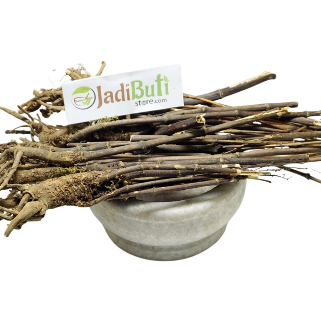 Kalmegh dried stems with root-like portions in a stone bowl — Jadibuti Store