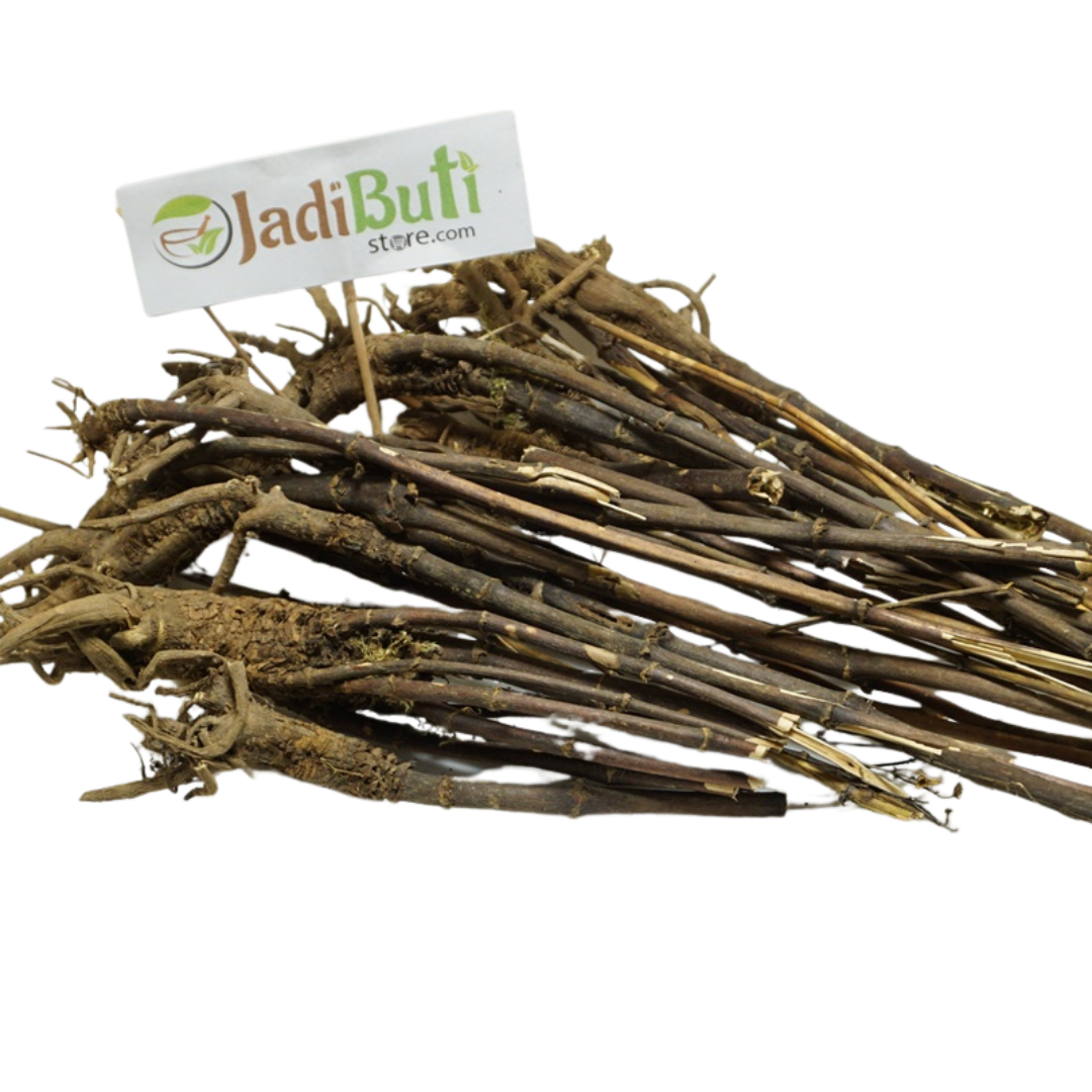 Kalmegh dried stems and root-like portions arranged on a white plate — Jadibuti Store