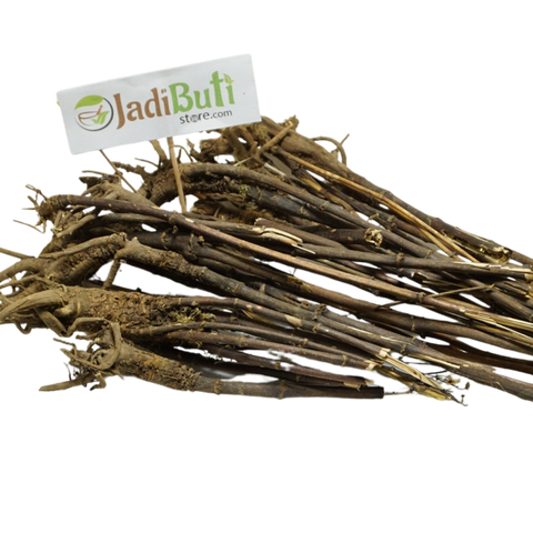 Kalmegh - कालमेघ - Chirayta Nepali - Swertia chirata Buch