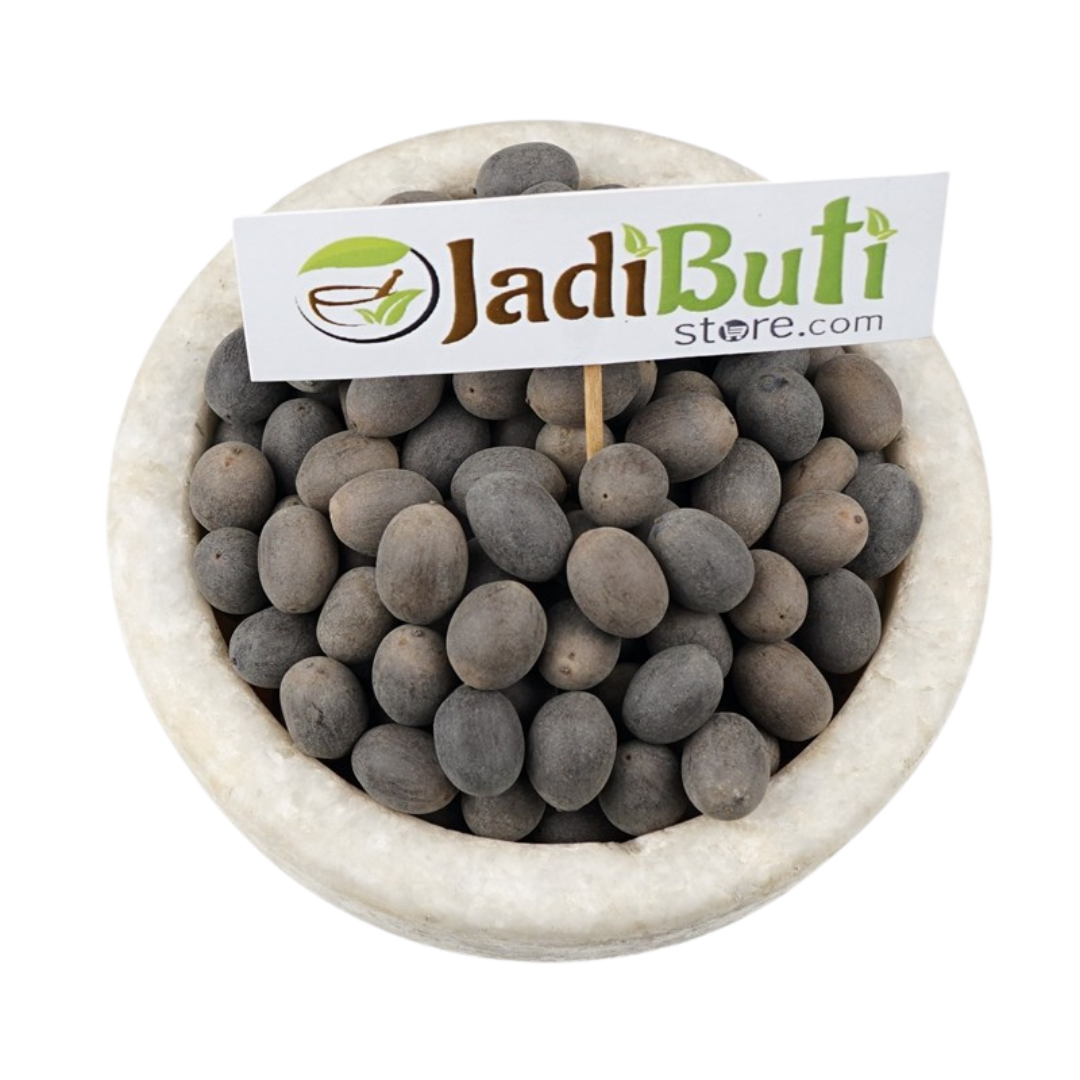 Kamal Gatta / Lotus Seeds (Nelumbo nucifera) - Jadibuti Store