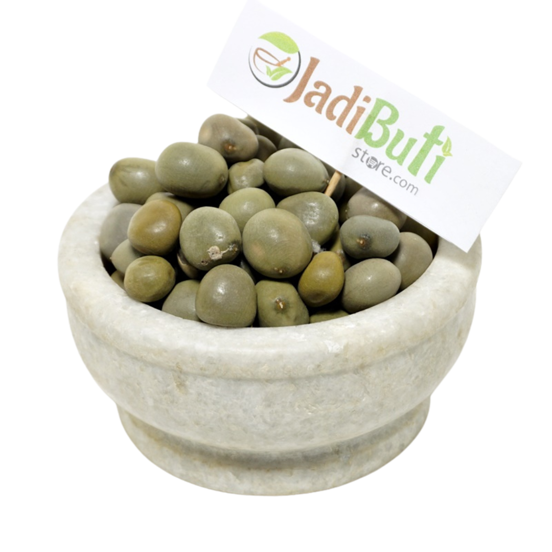 Natural Karanj seeds (Pongamia pinnata) - Jadibuti Store