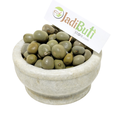 Natural Karanj seeds (Pongamia pinnata) - Jadibuti Store