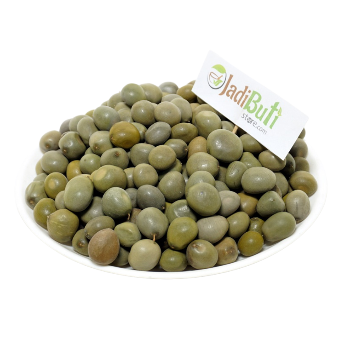 Karanj Seed (करंज बीज), Pongamia pinnata - Jadibuti Store