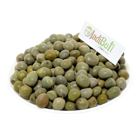 Karanj Seed | Natural Whole Seed | करंज बीज | Pongamia pinnata