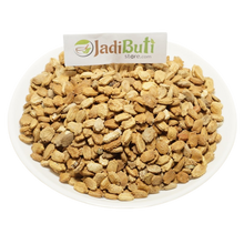Karela Seeds - करेला बीज - Bitter Gourd - Momordica Charantia