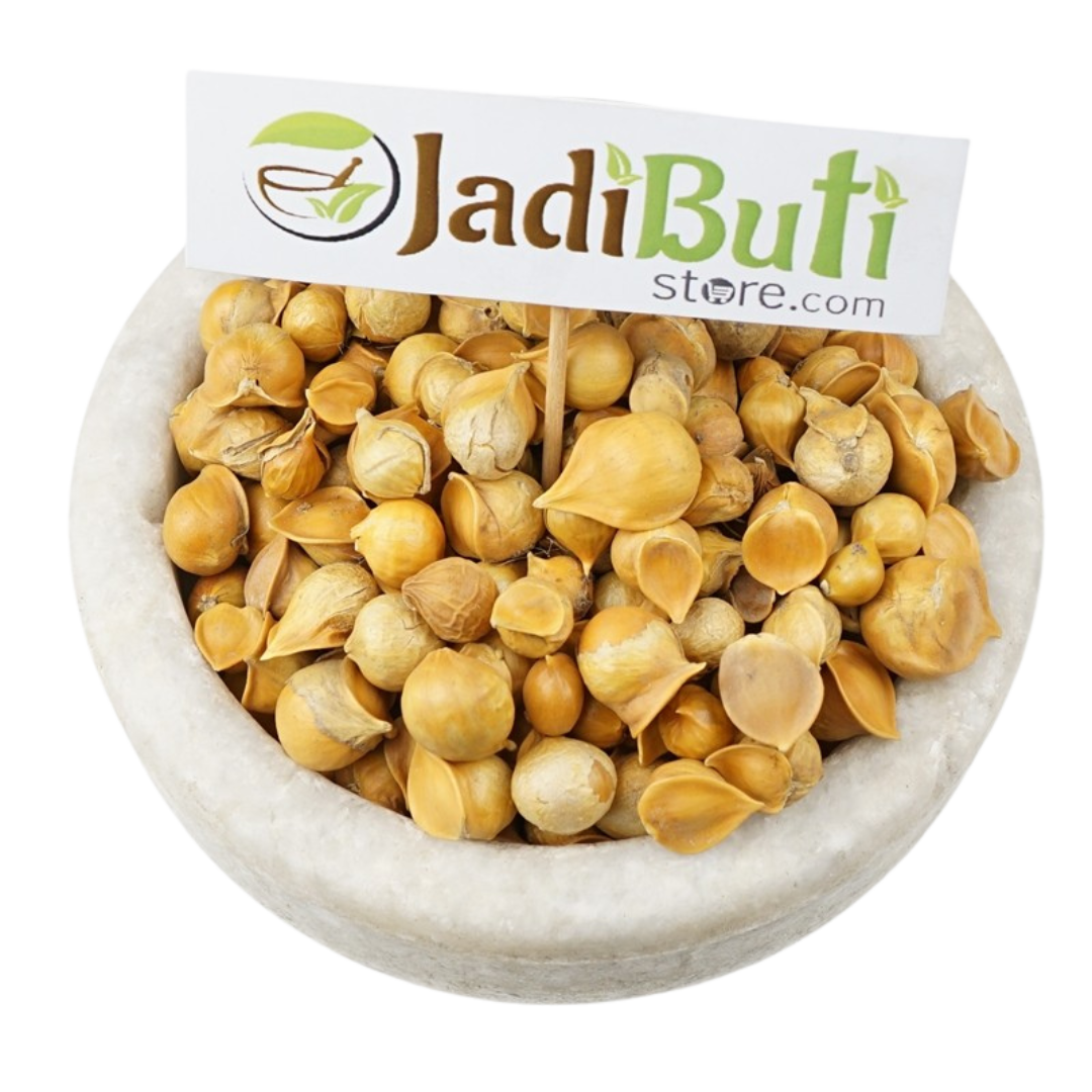 Kashmiri Lahsun / Snow Mountain Garlic - Jadibuti Store