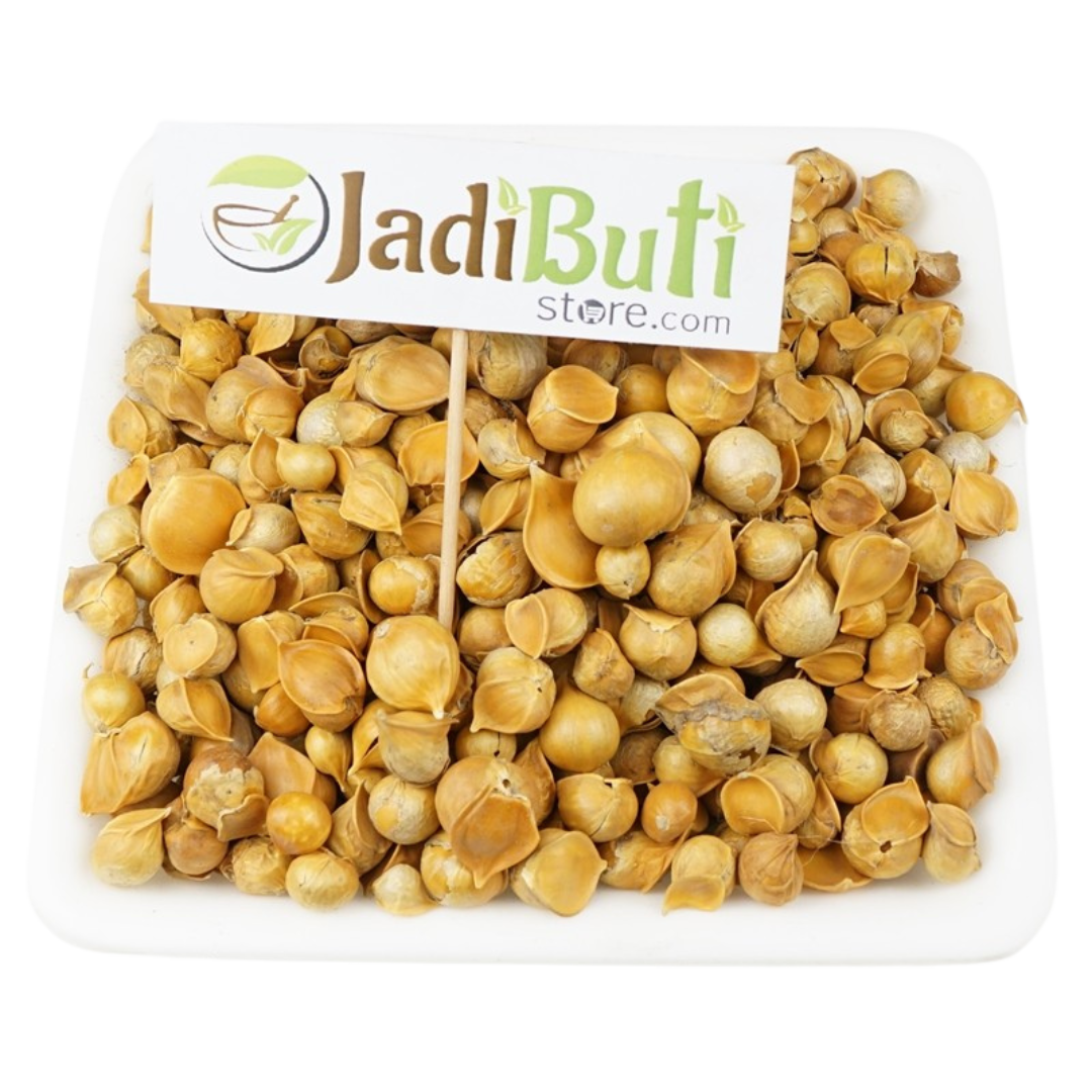 Kashmiri Lahsun (कश्मीरी लहसुन) / Ek Pothi Garlic - species pending