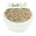 Kasni / Chicory (Cichorium intybus) - supplied plant part pending - Jadibuti Store