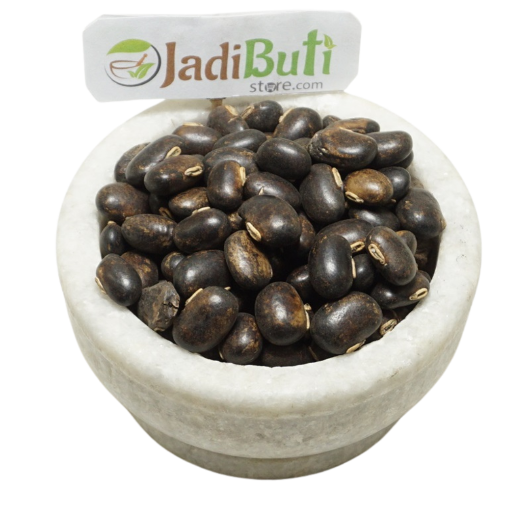 Kaunch Kale / Black Kaunch Seeds (Mucuna pruriens) - Jadibuti Store