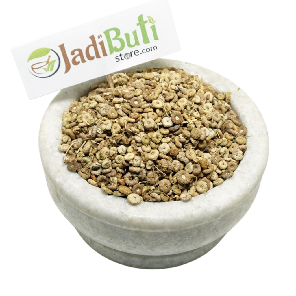 Khubbaji / Common Mallow (Malva sylvestris) - Jadibuti Store