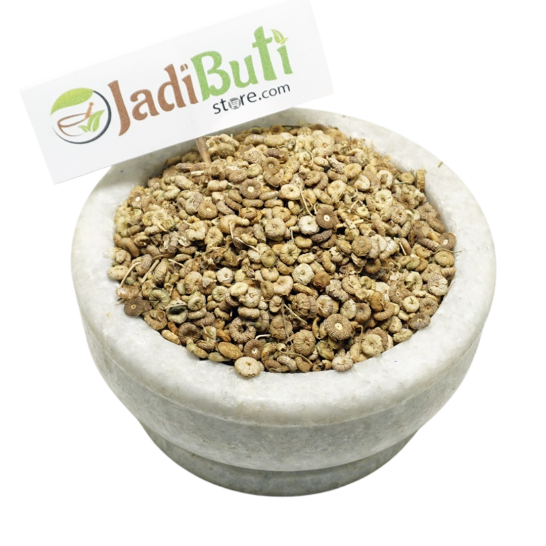 Khubbaji / Common Mallow (Malva sylvestris) - Jadibuti Store