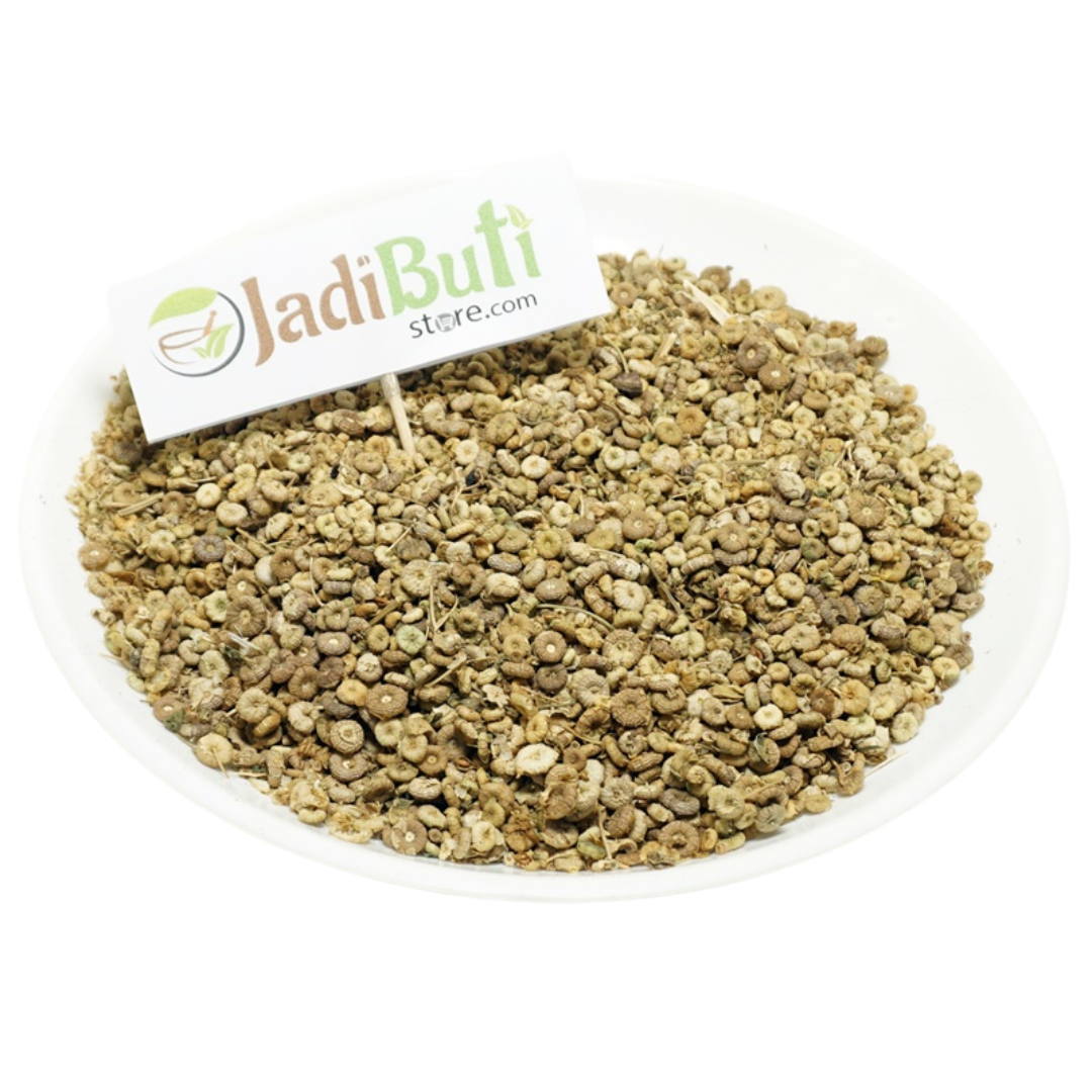 Khubbaji - खुब्बाजी - Mallow - Malva Sylvestris