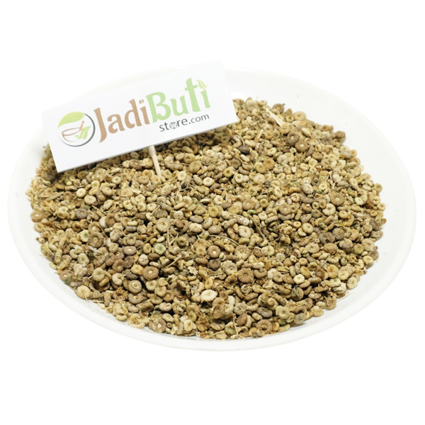 Khubbaji - खुब्बाजी - Mallow - Malva Sylvestris