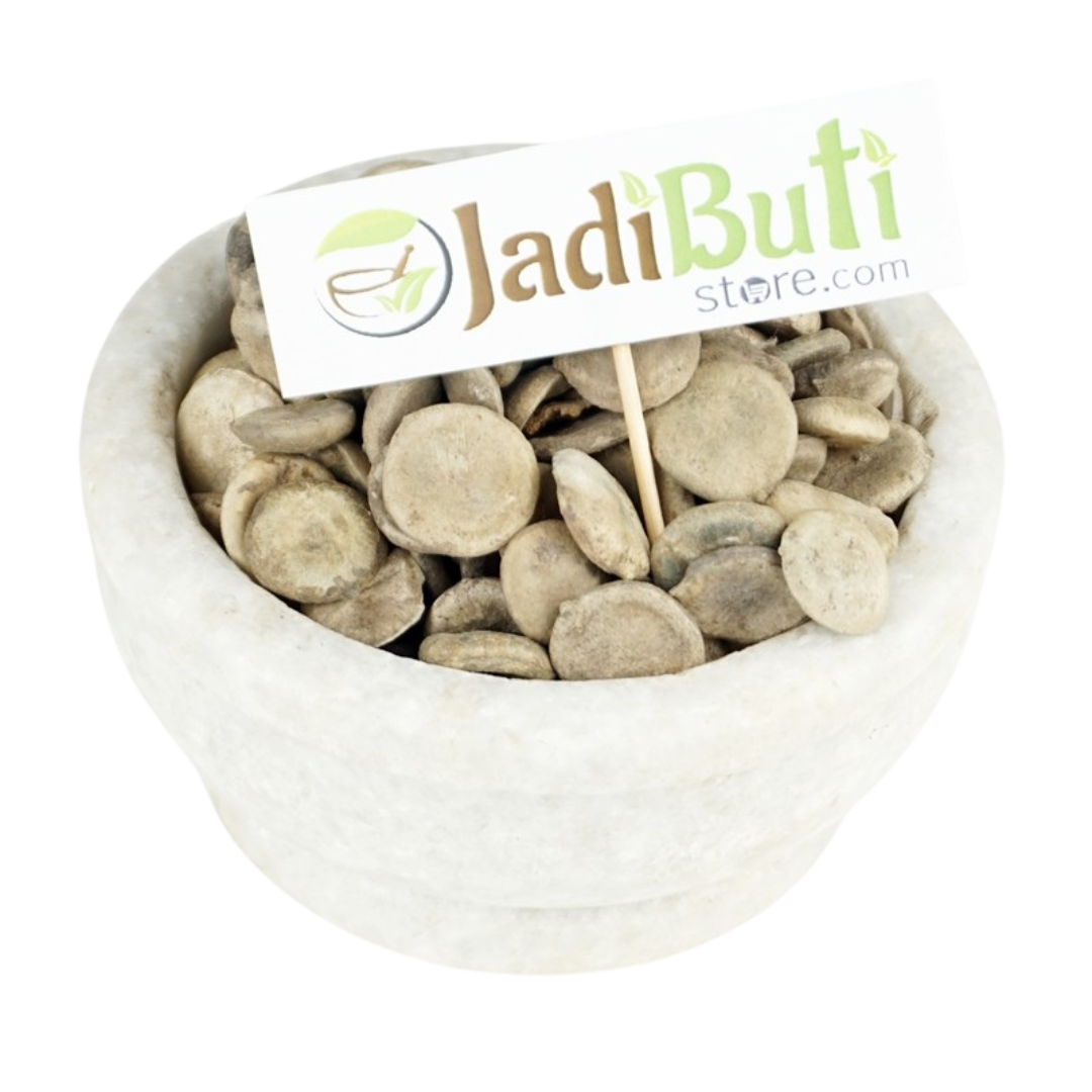 Kuchla Beej / Nux Vomica seeds (Strychnos nux-vomica) - Jadibuti Store
