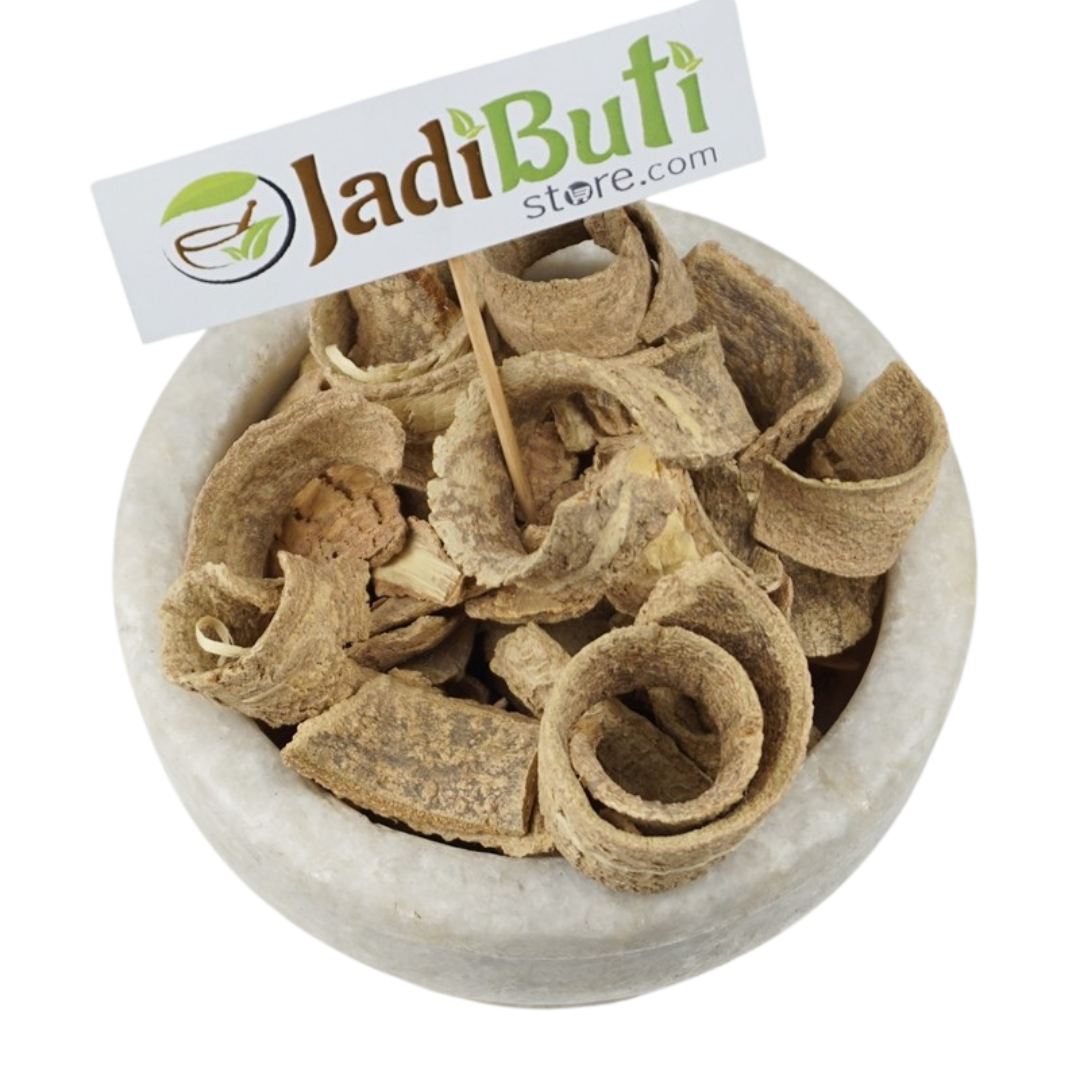 Kuda Chhal / Kutaja stem bark (Holarrhena pubescens) - Jadibuti Store