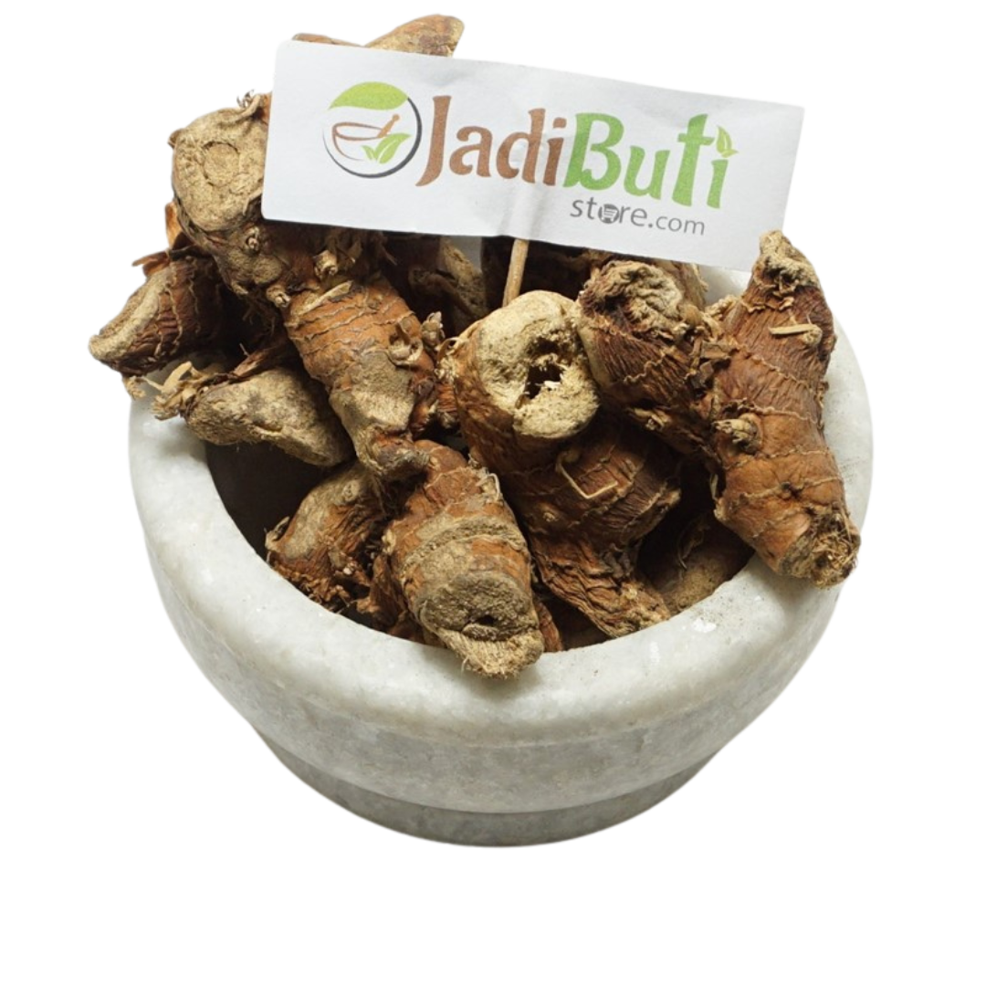 Kulanjan / Greater Galangal rhizome (Alpinia galanga) - Jadibuti Store