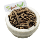 Kutki rhizome (Picrorhiza kurroa) - Jadibuti Store
