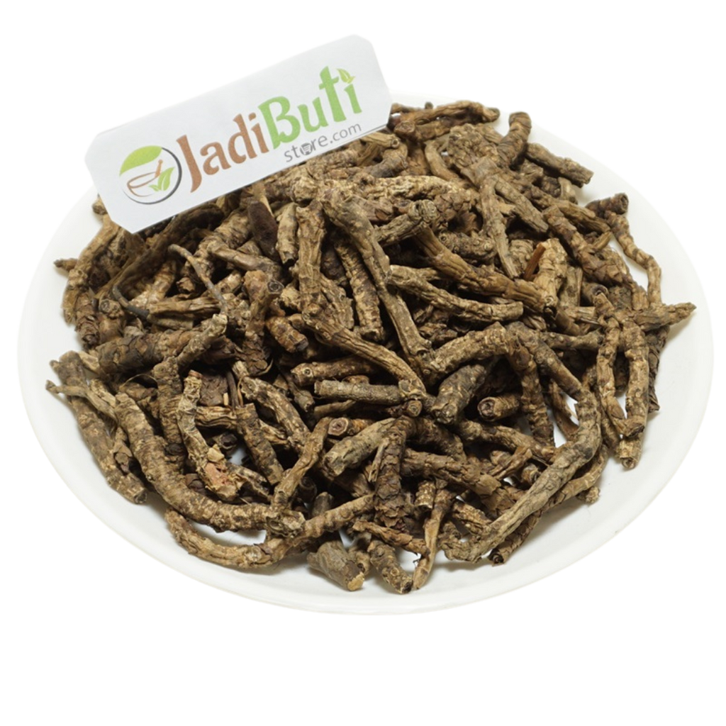 Kutki (कुटकी) natural Picrorhiza kurroa rhizome material