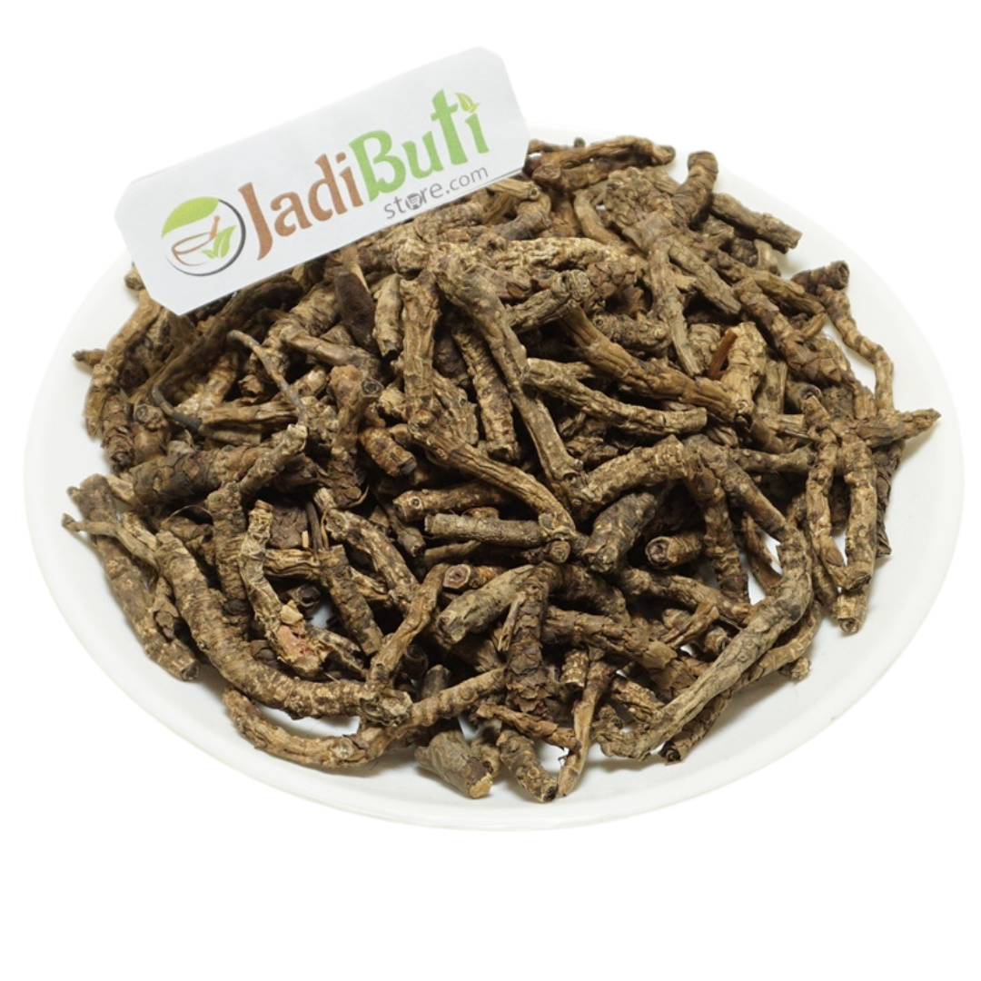 Kutki (कुटकी) natural Picrorhiza kurroa rhizome material