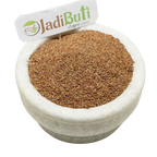 Lajwanti whole plant (Mimosa pudica) - Jadibuti Store