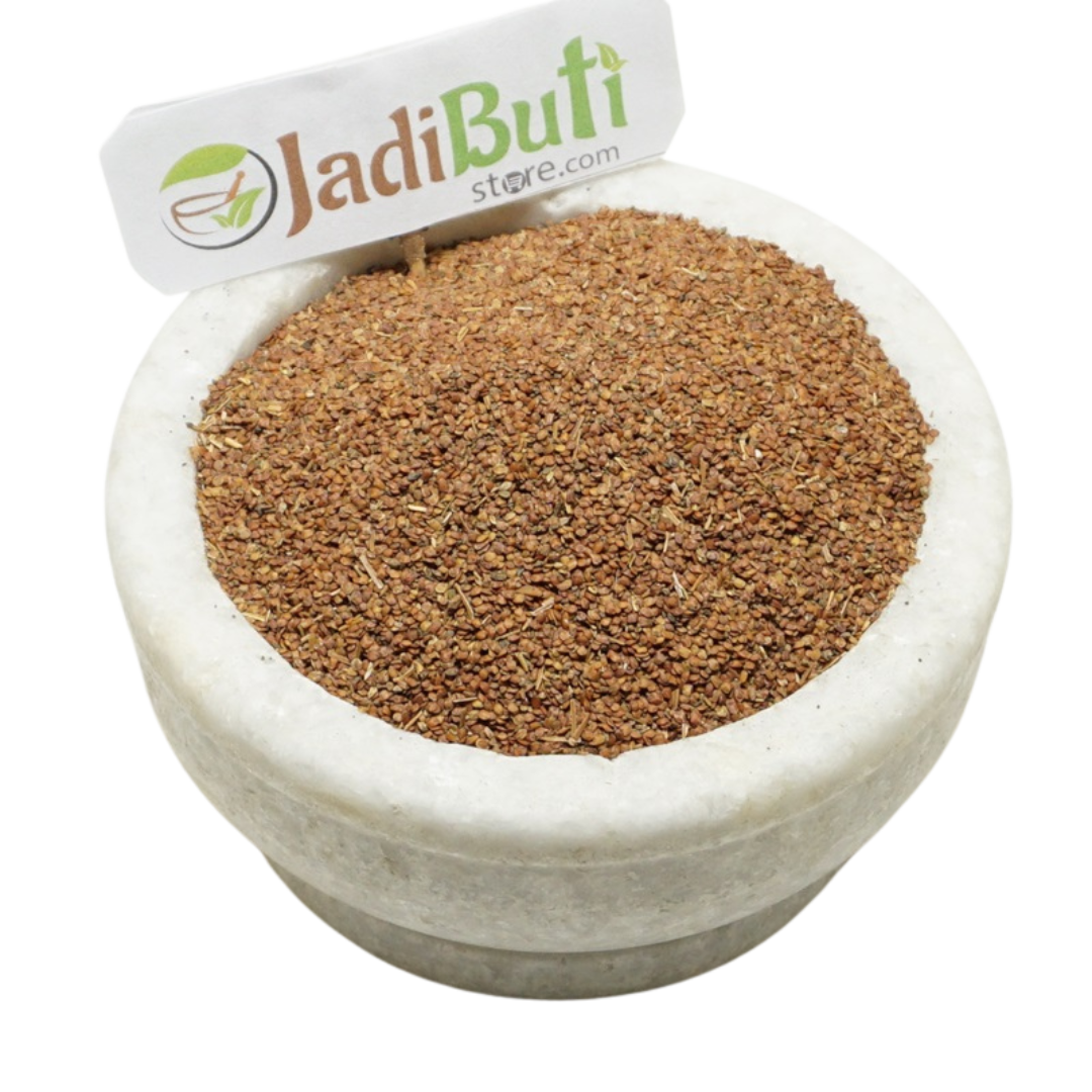 Lajwanti whole plant (Mimosa pudica) - Jadibuti Store