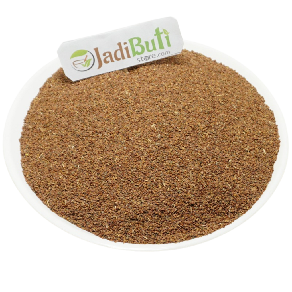Lajwanti (लाजवंती) natural whole herb / Mimosa pudica