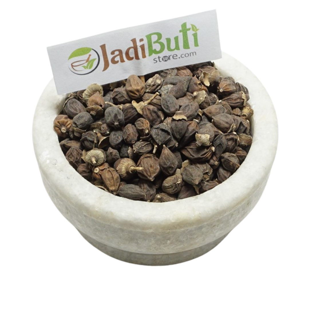 Lasoda / Sapistan dried Cordia fruit - species verification pending - Jadibuti Store