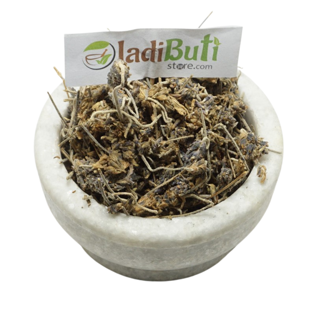 Ustukhuddus / Lavandula stoechas dried inflorescence - Jadibuti Store