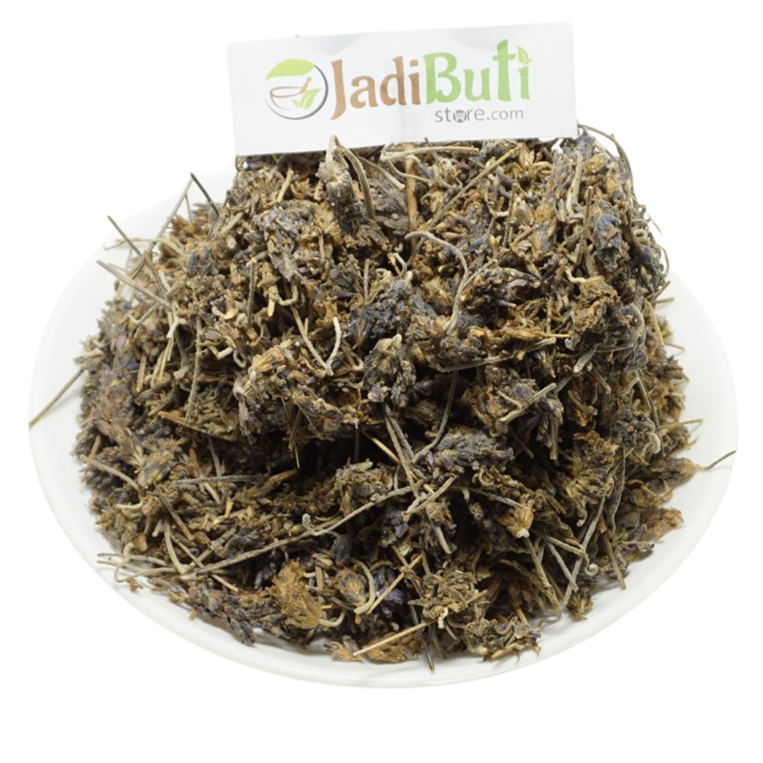 Lavender -UsteKhadoos - उस्तेखादूस - Arabian Lavender - Lavandula stoechas