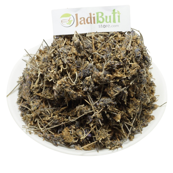 Lavender -UsteKhadoos - उस्तेखादूस - Arabian Lavender - Lavandula stoechas