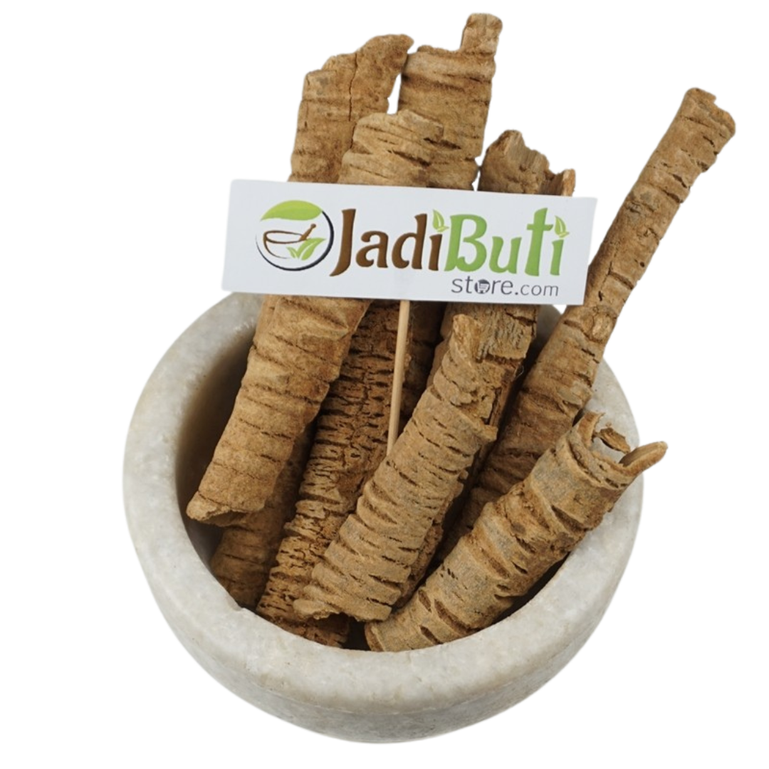 Lodhra stem bark (Symplocos racemosa) - Jadibuti Store