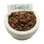 Mahua / Madhuka (Madhuca longifolia) natural material - Jadibuti Store