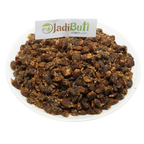 Mahua (महुआ) Madhuca longifolia - exact supplied part pending