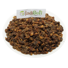 Mahua(Mahuya) - महुआ - Pongamia -  Madhuca indica