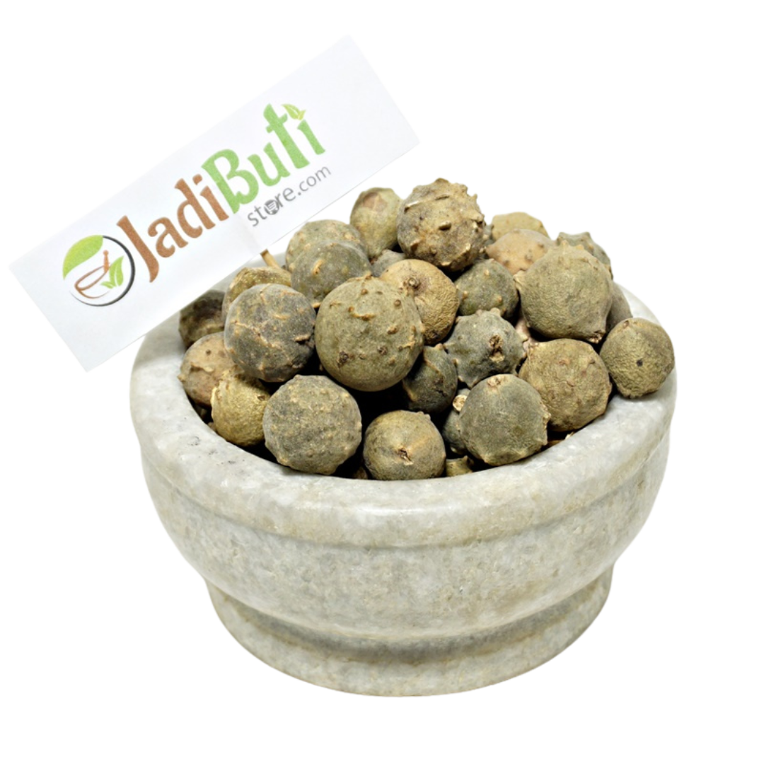 Majuphal - माजूफल - Gallnut - Quercus infectoria