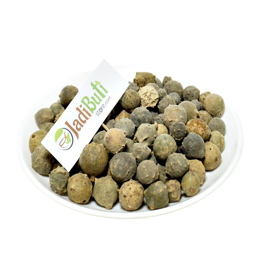 Majuphal - माजूफल - Gallnut - Quercus infectoria